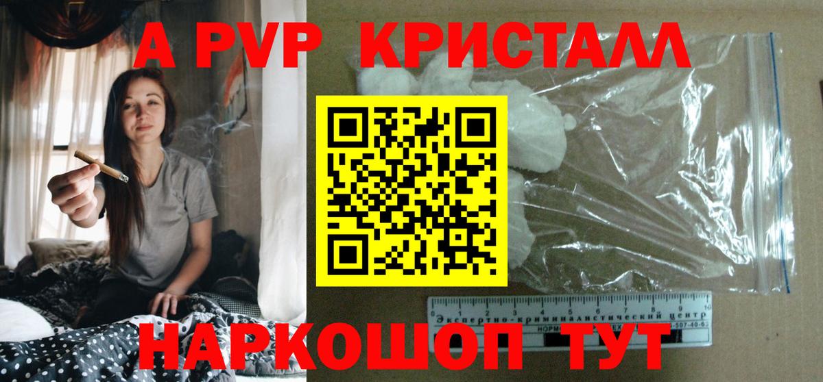 A PVP СК Новозыбков