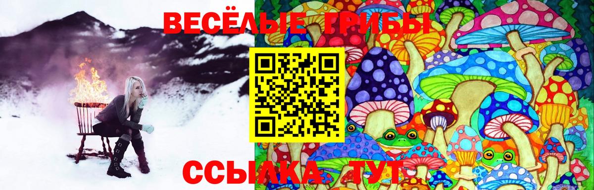 Псилоцибиновые грибы Magic Shrooms Новозыбков