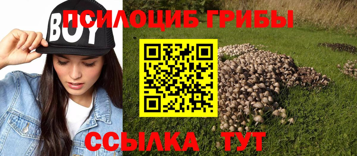 Новозыбков  Псилоцибиновые грибы мухоморы  Вход с VPN 
