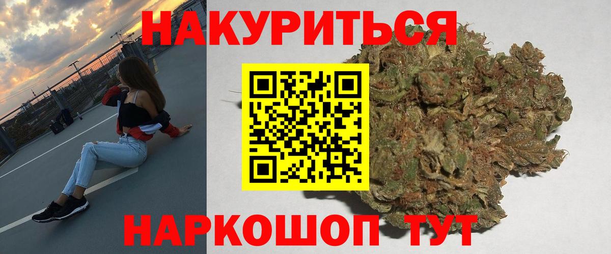 Канабис конопля Новозыбков